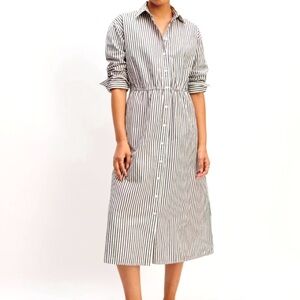Everlane Striped Button Down Midi Shirt Dress w/ Pockets Timeless & Modern Small